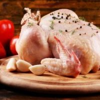GALLINA GIGANTE